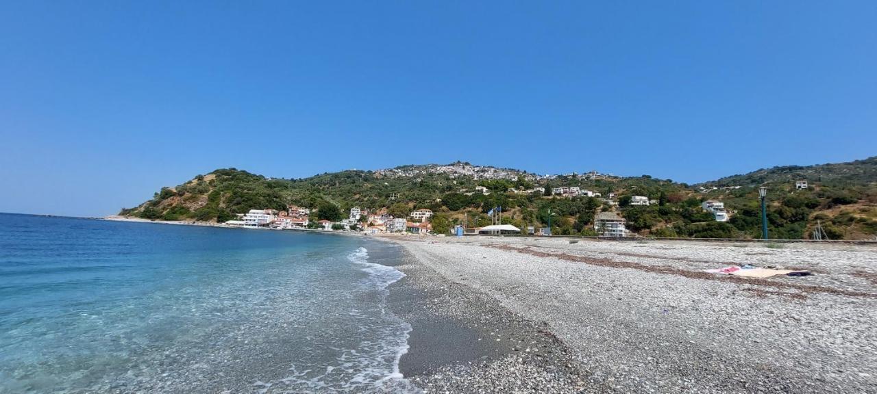 Mirsinia Apartments - Skopelos Лутраки Экстерьер фото